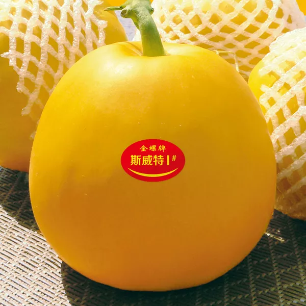 薄皮甜瓜，哪個(gè)品種最好呢？畝產(chǎn)高達(dá)10萬，附4種市場爆款品種