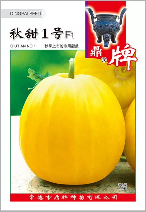 高溫季節(jié)種植甜瓜，什么品種最好？這個(gè)品種是秋季上市的專用品種