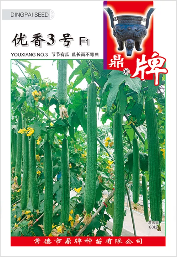 它是絲瓜種植戶的新選擇，節(jié)節(jié)有瓜，瓜長而不彎曲