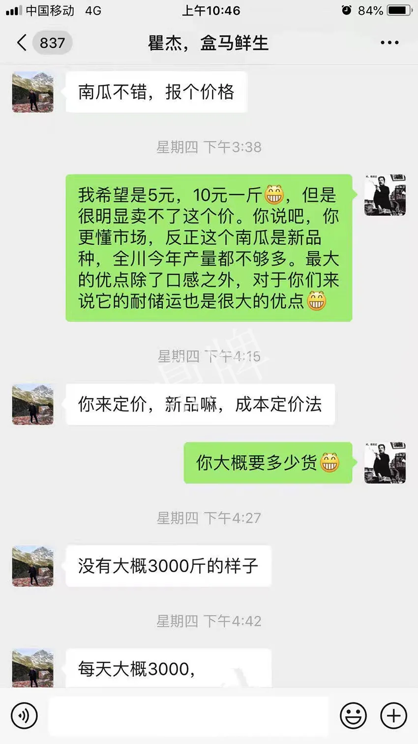 四川農(nóng)戶今年種“健美蜜本”南瓜產(chǎn)量高，品質(zhì)好，感覺巴適得很